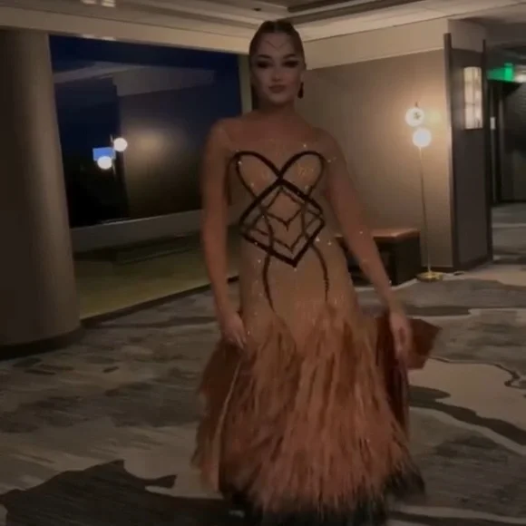 Luxury Golden Ballroom Feathered Dance Gown - Picture 5 of 6